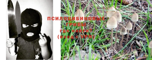 прущая мука Горняк