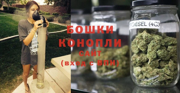 прущая мука Горняк