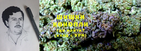 apvp Горно-Алтайск