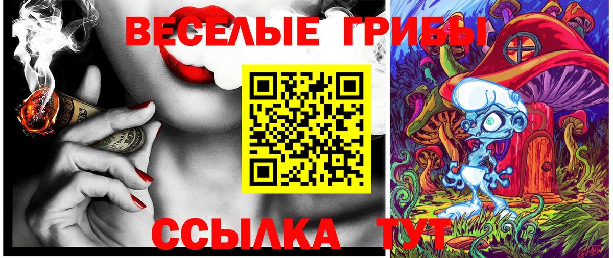 Галлюциногенные грибы прущие грибы Муром