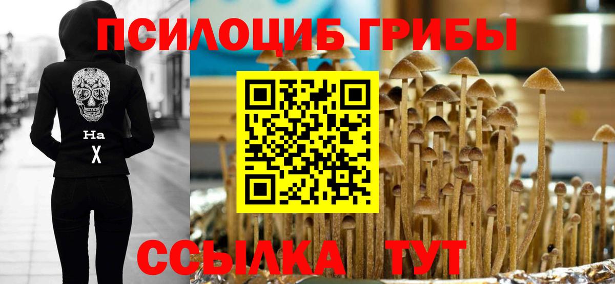 Муром  Галлюциногенные грибы мухоморы  Вход с VPN 